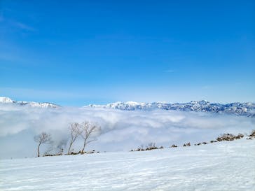 白馬八方尾根スキー場に投稿された画像（2022/3/28）