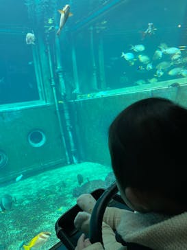 箱根園水族館に投稿された画像（2022/3/29）