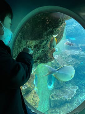 箱根園水族館に投稿された画像（2022/3/29）