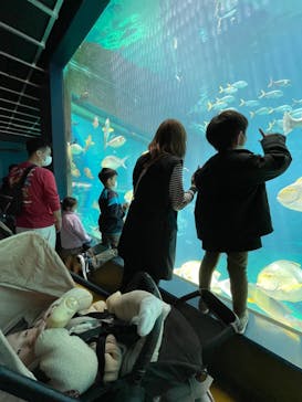 箱根園水族館に投稿された画像（2022/3/29）