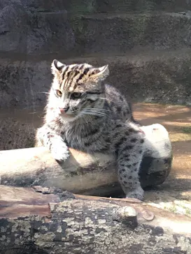 神戸どうぶつ王国に投稿された画像（2022/3/29）