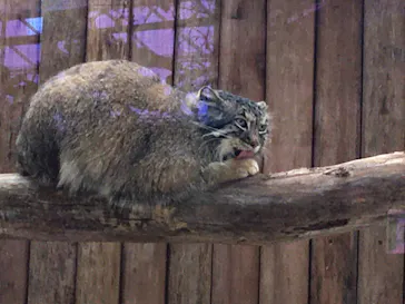 神戸どうぶつ王国に投稿された画像（2022/3/29）