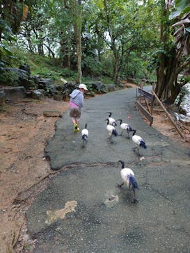 ネオパークオキナワに投稿された画像（2022/3/29）