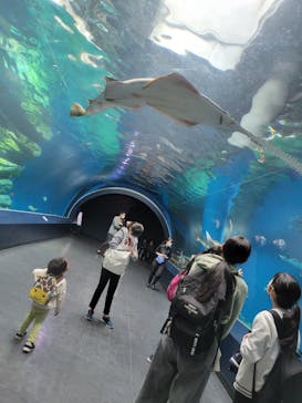 マクセル アクアパーク品川に投稿された画像（2022/3/29）