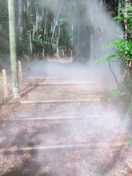 よみうりランド 遊園地に投稿された画像（2022/3/29）