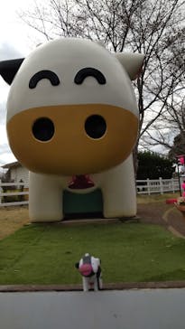 成田ゆめ牧場に投稿された画像（2022/3/29）
