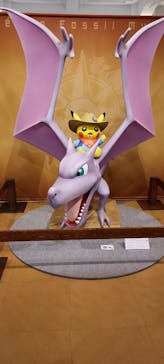 国立科学博物館　特別企画展「ポケモン化石博物館」に投稿された画像（2022/3/29）
