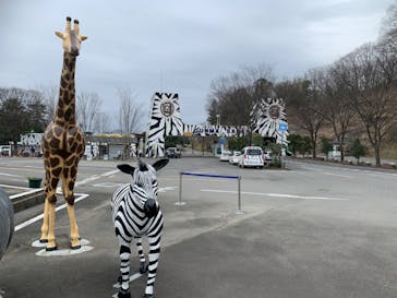 群馬サファリパークに投稿された画像（2022/3/29）
