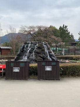 群馬サファリパークに投稿された画像（2022/3/29）