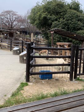 群馬サファリパークに投稿された画像（2022/3/29）