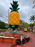 ナゴパイナップルパークに投稿された画像（2022/3/29）