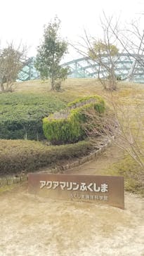 環境水族館アクアマリンふくしまに投稿された画像（2022/3/29）