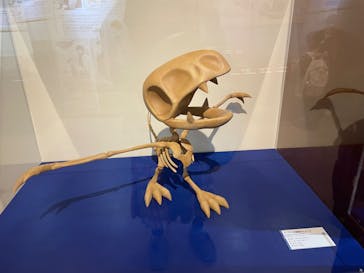 国立科学博物館　特別企画展「ポケモン化石博物館」に投稿された画像（2022/3/29）