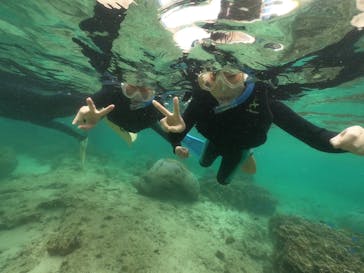 武藤潜水に投稿された画像（2022/3/29）