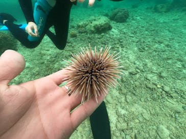 武藤潜水に投稿された画像（2022/3/29）