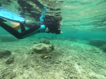 武藤潜水に投稿された画像（2022/3/29）