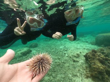 武藤潜水に投稿された画像（2022/3/29）