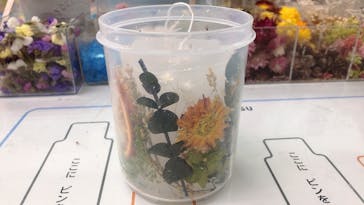 ずこうしつ〜sugamo〜に投稿された画像（2022/3/29）