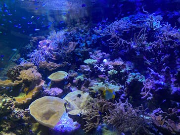 名古屋港水族館に投稿された画像（2022/3/29）