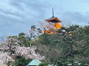 三溪園に投稿された画像（2022/3/29）