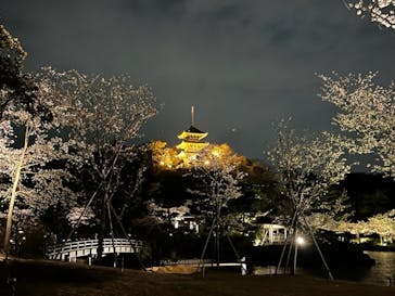 三溪園に投稿された画像（2022/3/29）