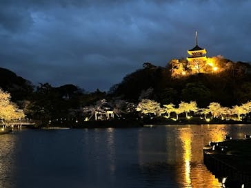 三溪園に投稿された画像（2022/3/29）