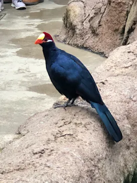 神戸どうぶつ王国に投稿された画像（2022/3/29）