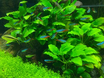 サンシャイン水族館に投稿された画像（2022/3/29）