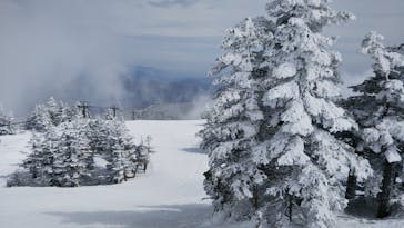 志賀高原マウンテンリゾートに投稿された画像（2022/3/29）
