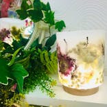 ずこうしつ〜sugamo〜に投稿された画像（2022/3/29）