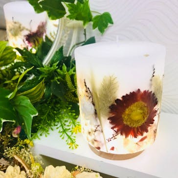 ずこうしつ〜sugamo〜に投稿された画像（2022/3/29）