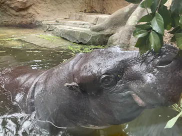 神戸どうぶつ王国に投稿された画像（2022/3/29）