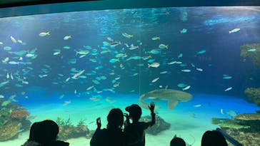 サンシャイン水族館に投稿された画像（2022/3/29）