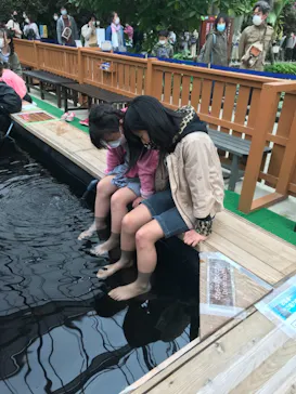 神戸どうぶつ王国に投稿された画像（2022/3/29）