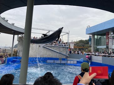 大分マリーンパレス水族館 「うみたまご」に投稿された画像（2022/3/29）