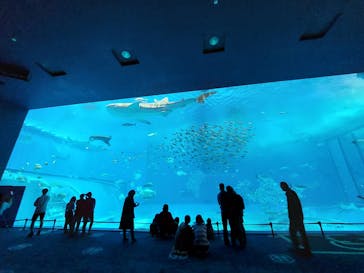 沖縄美ら海水族館に投稿された画像（2022/3/29）