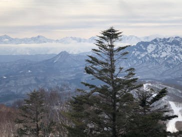 戸隠スキー場に投稿された画像（2022/3/29）