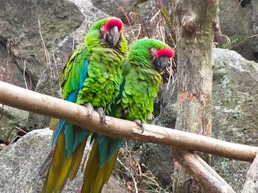 伊豆シャボテン動物公園に投稿された画像（2022/3/29）