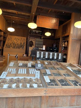 江戸東京たてもの園に投稿された画像（2022/3/29）