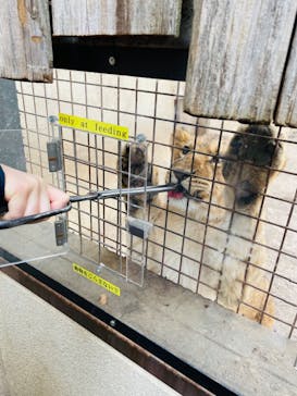 群馬サファリパークに投稿された画像（2022/3/29）