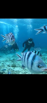 青の洞窟専門店　沖縄ダイビングショップ和に投稿された画像（2022/3/29）