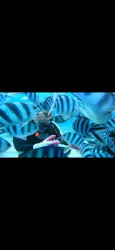 青の洞窟専門店　沖縄ダイビングショップ和に投稿された画像（2022/3/29）