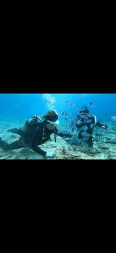 青の洞窟専門店　沖縄ダイビングショップ和に投稿された画像（2022/3/29）