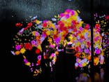 森ビル デジタルアート ミュージアム：エプソン チームラボボーダレスに投稿された画像（2022/3/29）