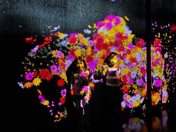 森ビル デジタルアート ミュージアム：エプソン チームラボボーダレスに投稿された画像（2022/3/29）