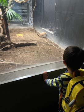 カワスイ 川崎⽔族館に投稿された画像（2022/3/29）