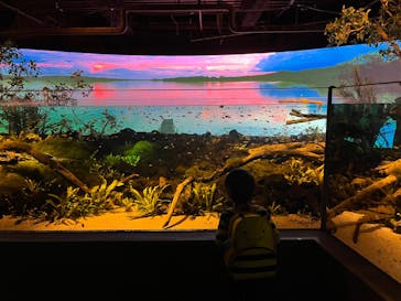 カワスイ 川崎⽔族館に投稿された画像（2022/3/29）