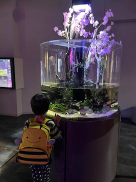 カワスイ 川崎⽔族館に投稿された画像（2022/3/29）
