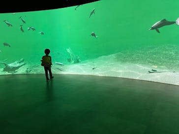 カワスイ 川崎⽔族館に投稿された画像（2022/3/29）