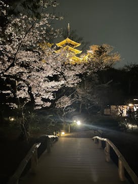 三溪園に投稿された画像（2022/3/29）